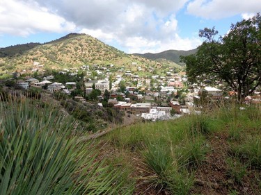 With an elevation of 1,600 metres, Bisbee has a climate conducive to greenery unlike much of the state of Arizona.