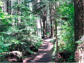 Pacific Spirit Regional Park