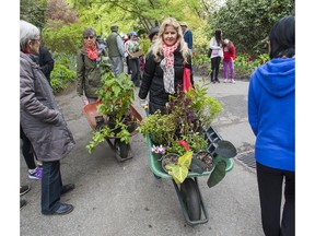 April and May are the key months for gardeners to find bargains at plant sales run by local garden clubs and societies.