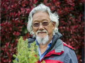 Environmentalist and TV personality David Suzuki .