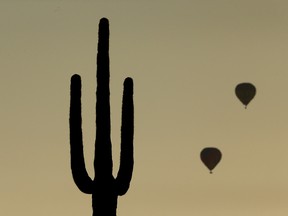 Hot air balloons rise into the morning sky beyond a saguaro cactus in the desert north of Scottsdale. The Arizona resort town is embracing Canadians with lots of loonie love.