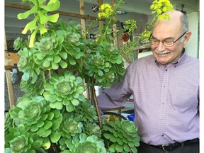 Otto Zanatta, master at growing usual plants
