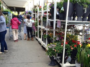 Expanded garden section at Costco