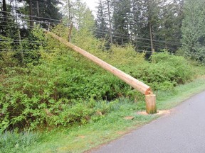 BC Hydro says thieves risked death or serious injury by cutting down two power poles with chainsaws in Surrey. This photo shows a similar theft earlier in Surrey.