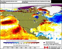 Photo of the Blob taken on August 23 2015