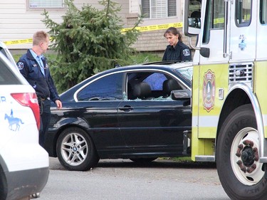 A man sitting in a BMW was shot at 86A Ave & 140th St just before 2:00 pm on April 4. The passenger window was shattered. Paramedics and the fire department responded and the victim was rushed to hospital with undetermined injuries, but likely non life threatening. RCMP have locked down the area around the scene which is across from Bear Creek Park in a residential neighbourhood. It is the city's 31st shooting so far this year.  [PNG Merlin Archive]