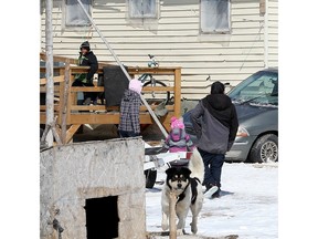 There have been a rash of suicides and attempts in the remote Ontario village of Attawapiskat - including 11 young people last Saturday and a foiled suicide pact earlier this week. I'm trying to determine the gender of the victims and those who have made the attempts.