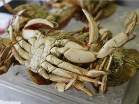 Fresh crab can be expensive, but two Vancouver men have paid a very high price for the delicacy though they never even got to taste their catch.