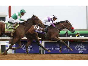 FILE - In this Oct. 31, 2015, file photo, Nyquist (13), with Mario Gutierrez up, wins the Breeders' Cup Juvenile horse race at Keeneland in Lexington, Ky. There's unbeaten Nyquist, and there's the rest of the field for the Kentucky Derby.