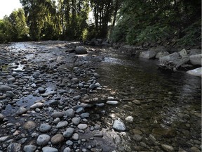 Lower than usual water levels in Lynn Creek in North Vancouver in 2015. B.C. could face similar drought conditions this year.