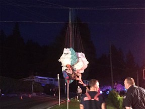 A photo from Twitter of the paraglider hanging from the power lines.