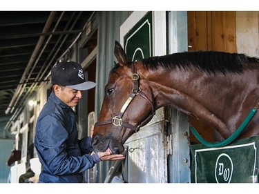 Horse racing jockey Mario Gutierrez feeds a horse in the stables at Santa Anita Park racetrack in Arcadia, Calif., on April 16, 2016.