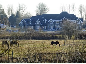 Massive houses are being built on agricultural land throughout Metro Vancouver.