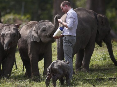Britain's Prince Charles feeds a baby elephant at the Centre for Wildlife Rehabilitation and Conservation (CWRC), at Panbari reserve forest in Kaziranga, in the north-eastern state of Assam, India, April 13, 2016.