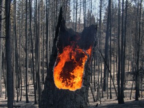 There appears to be little relief on the way to help with this year's uncharacteristically early start to British Columbia's fire season. BC Wildfire Service spokesman Kevin Skrepnek says cooler temperatures forecast for the coming days are unlikely to bring much rain and that worsening winds will likely only fan the flames.