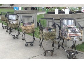 Shopping carts are being used as vegetable gardens for the needy. Photo courtesy of Kate Elliott.