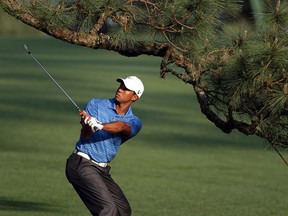 Tiger Woods plays his shot on the 17th hole from under The Eisenhower Tree during the 2011 Masters Tournament at Augusta National Golf Club in Augusta, Ga. The famed tree was removed in 2014 after dying in a winter ice storm.