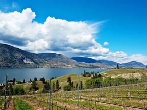 Dramatic cloud-shrouded mountains behind Skaha Lake from Painted Rock Vineyards, just south of Penticton.