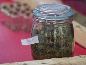 Bud for sale from a vendor at the annual 4:20 marijuana event at it's new location, Sunset Beach, Vancouver April 20 2016.