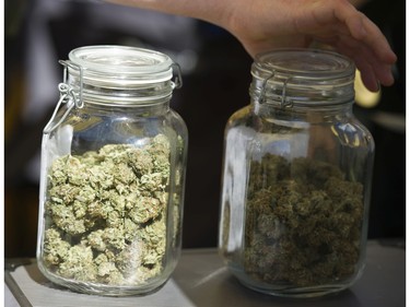 Bud for sale from a vendor at the annual 4:20 marijuana event at it's new location, Sunset Beach, Vancouver April 20 2016.