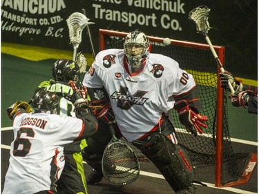Vancouver Stealth goalie Tyler Richards makes a save on Saskatchewan Rush Riley Loewen in National Lacrosse League action at the Langley Event Centre in Langley, BC. April 23, 2016.