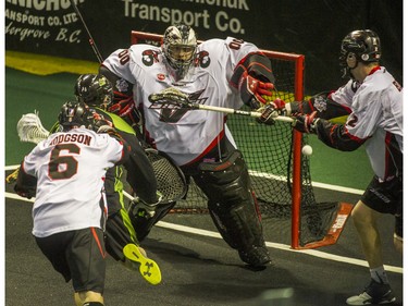 Vancouver Stealth goalie Tyler Richards makes a save vs Saskatchewan Rush in National Lacrosse League action at the Langley Event Centre in Langley, BC. April 23, 2016.