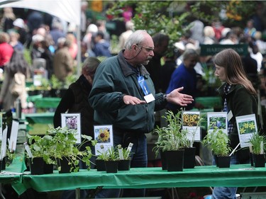 The 38th annual plant sale at VanDusen Botanical Garden in Vancouver was made possible with the help of 400 volunteers.