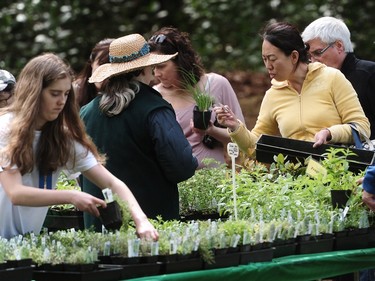 The 38th annual plant sale at VanDusen Botanical Garden in Vancouver was made possible with the help of 400 volunteers.