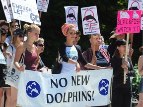 Demonstrators at the third annual EMPTY THE TANKS protest outside the Vancouver Aquarium in Vancouver, BC., June 6, 2015.