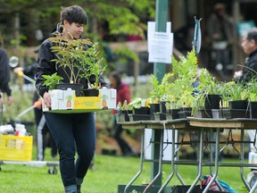 Plant shoppers enjoy A Growing Affair, the evolution of the Gardens popular and long-running annual Perennial Plant Sale, as the name suggests, includes more than just plants for sale at UBC Botanical Garden.
