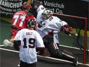 Vancouver Stealth's  Justin Salt watches as Calgary Roughneck Jeff Schattler scores on Stealth goalie Tyler Richards during the first half of Saturday's game at the LEC.
