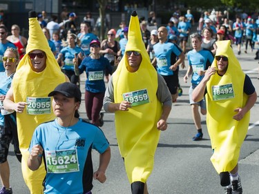 Runners dressed in banana costumes race in the 2016 Vancouver Sun Run in Vancouver, BC, April, 17, 2016.
