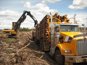 A logging truck being loaded in a file photo.