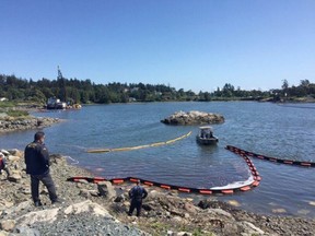 A cleanup is now underway after a barge ran ashore in Esquimalt Harbour.