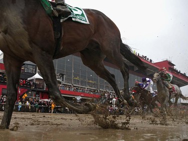 Exaggerator ridden by Kent Desormeaux leads the field to win the 141st running of the Preakness Stakes at Pimlico Race Course on May 21, 2016 in Baltimore, Maryland.