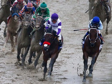 Nyquist ridden by Mario Gutierrez and Exaggerator ridden by Kent Desormeaux lead the field in the fourth turn to win the 141st running of the Preakness Stakes at Pimlico Race Course on May 21, 2016 in Baltimore, Maryland.