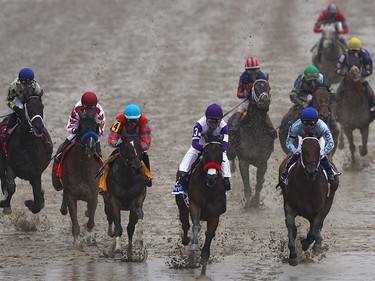Nyquist ridden by Mario Gutierrez leads the field in the first pass during the 141st running of the Preakness Stakes at Pimlico Race Course on May 21, 2016 in Baltimore, Maryland.