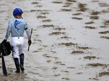 Jockey Fernando Perez of Unlce Lino looks on after losing in the 141st running of the Preakness Stakes at Pimlico Race Course on May 21, 2016 in Baltimore, Maryland.