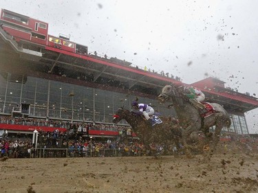 Horses make the first pass during the 141st running of the Preakness Stakes at Pimlico Race Course on May 21, 2016 in Baltimore, Maryland.