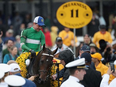Jockey of Exaggerator Kent Desormeaux celebrates after winning the 141st running of the Preakness Stakes at Pimlico Race Course on May 21, 2016 in Baltimore, Maryland.
