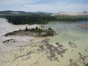A aerial view shows the damage caused by a tailings pond breach near the town of Likely, B.C. Tuesday, August, 5, 2014. The pond which stores toxic waste from the Mount Polley Mine had its dam break on Monday spilling its contents into the Hazeltine Creek causing a wide water-use ban in the area.