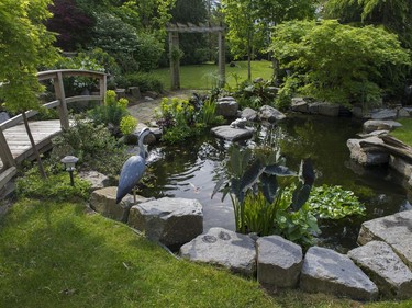 To show visitors what is possible, a beautiful pond and waterfall have been built next to a relaxing patio area.