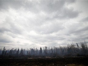 Smoke rises from a burned out area on Highway 63 south of Fort McMurray, Alberta, Canada, May 9, 2016 after wildfires forced the evacuation of the entire town.  Authorities battling a forest fire in Canada looked to Mother Nature for more help May 9, as cooling temperatures and rain slowed the spread of the blaze that had forced the evacuation of an entire city.