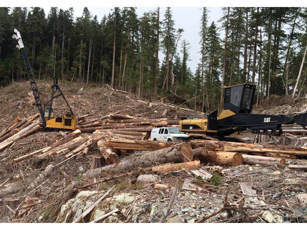Forestry workers face ambulance delays in rural B.C.: ombudsmen ...