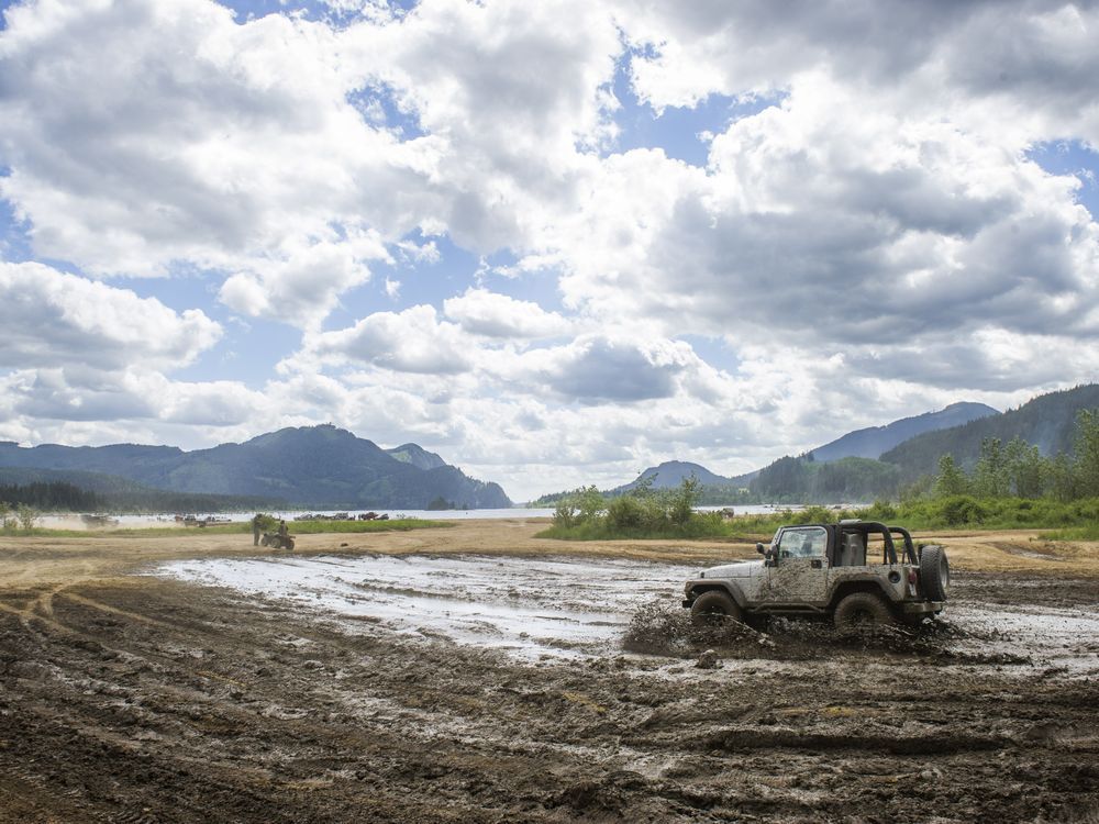 The Stave Lake mudflats.