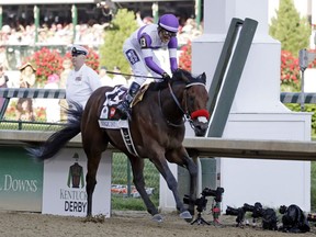 Mario Guitierrez celebrates after riding Nyquist to victory during the 142nd running of the Kentucky Derby horse race at Churchill Downs Saturday, May 7, 2016, in Louisville, Ky.