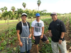 Maui chefs Jeff Scheer of The Millhouse, Mike Lofaro of Humuhumunukunukuapuaa Restaurant and Kyle Kawakami of Maui Fresh Streatery food truck are working to make Maui a culinary destination.