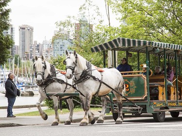 Montreal is enacting a one-year ban on horse-drawn carriages after several incidents involving horses, and animal rights activists in Victoria are asking city council to follow suit. Here in Vancouver, the Vancouver Humane Society would like to see the end of horse-drawn carriages as well.