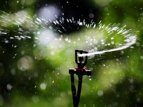 New lawn sprinkling regulations come into effect in Metro Vancouver on Sunday as water use ramps up.