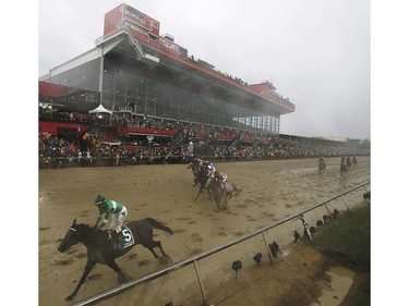 Exaggerator with Kent Desormeaux aboard wins the 141st Preakness Stakes horse race at Pimlico Race Course, Saturday, May 21, 2016, in Baltimore.